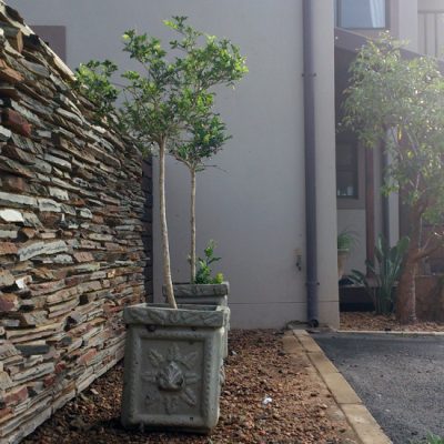 93 Greenvale Village